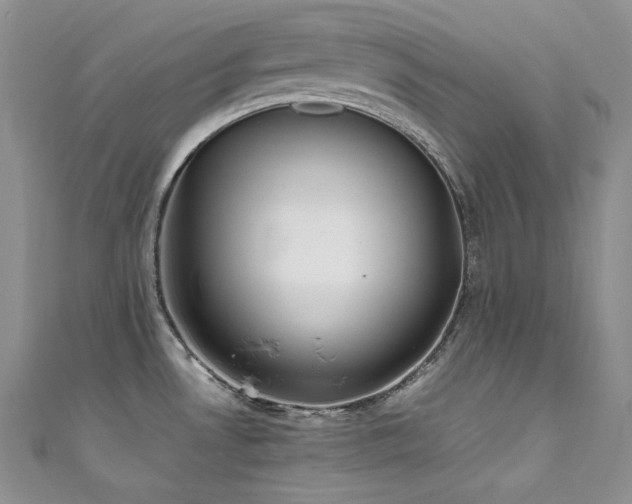 X0000111851530200907231418