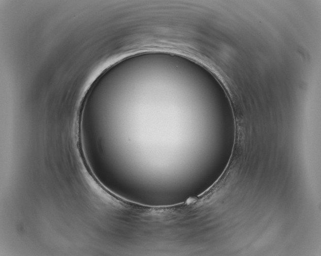 X0000111851531200907231418