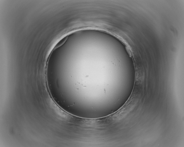 X0000111851532200907231418