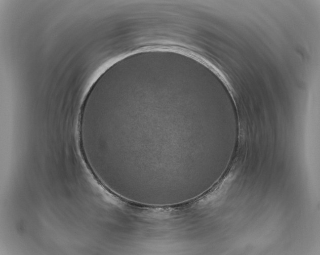 X0000111851533200907231418