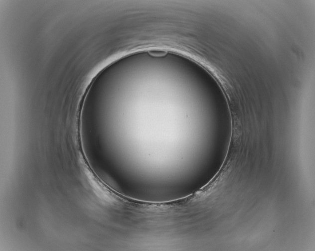 X0000111851534200907231418