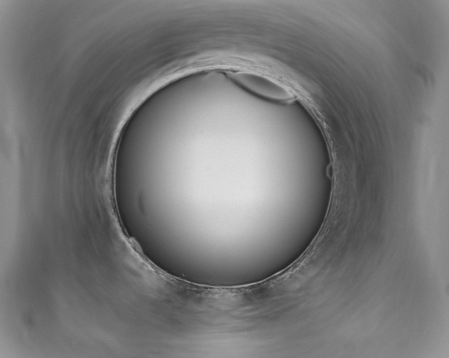 X0000111851536200907231418