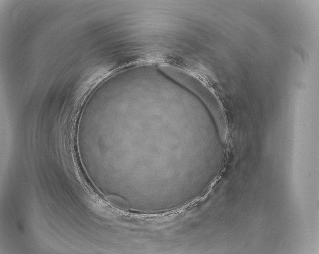 X0000111850001200907301120