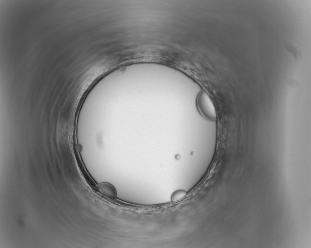 X0000111850003200907301120