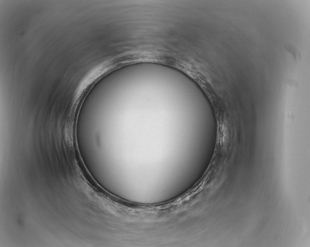 X0000111850004200907301120