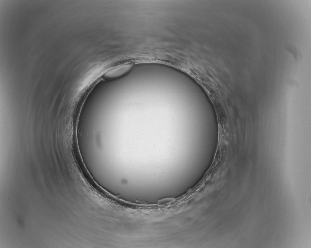 X0000111850005200907301120