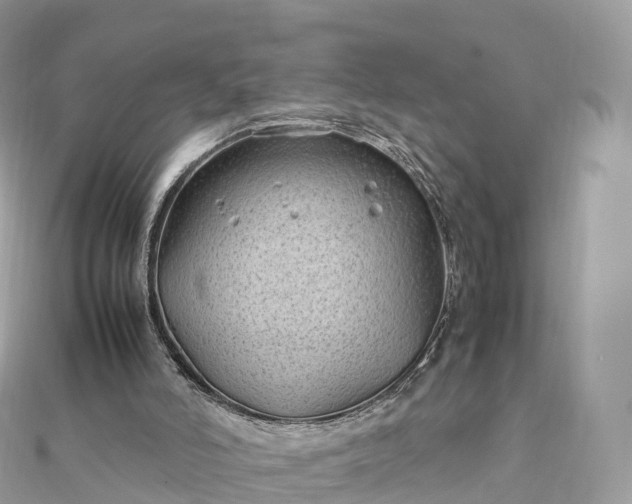 X0000111850006200907301120