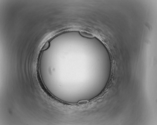 X0000111850007200907301120