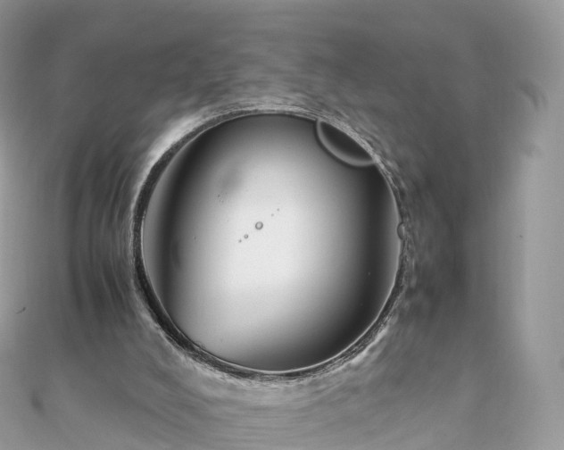 X0000111850008200907301120