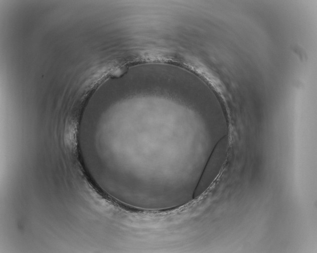 X0000111850009200907301120