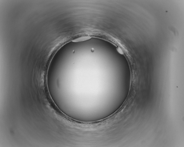 X0000111850010200907301120