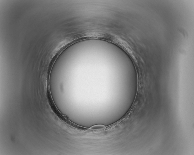 X0000111850011200907301120