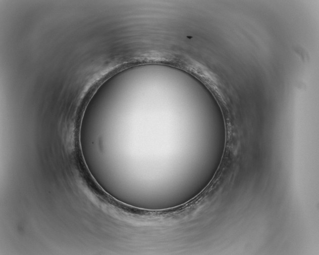 X0000111850012200907301120