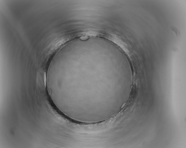 X0000111850013200907301120