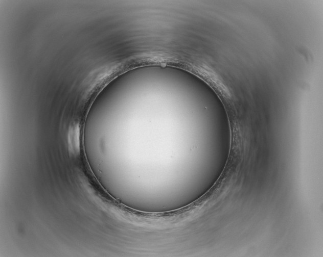 X0000111850014200907301120