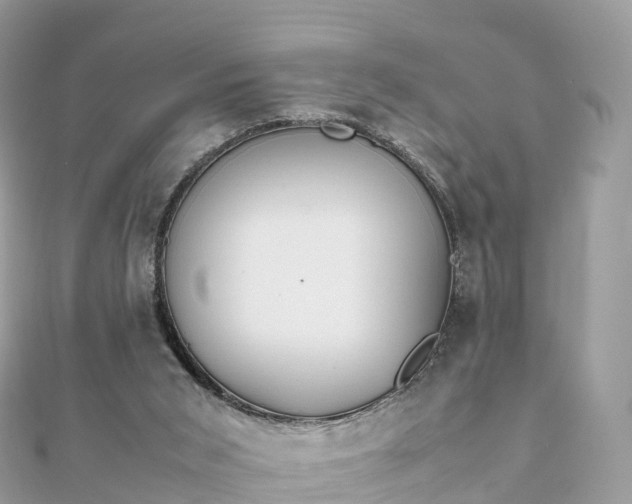 X0000111850015200907301120