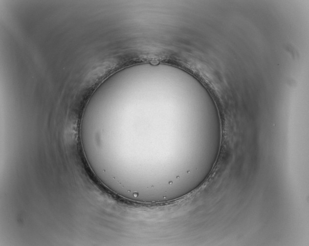 X0000111850017200907301120