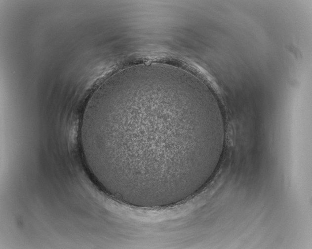 X0000111850018200907301120