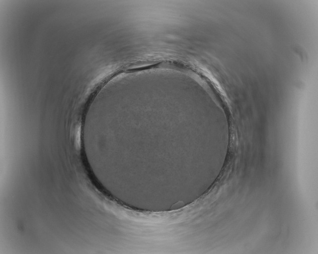 X0000111850019200907301120