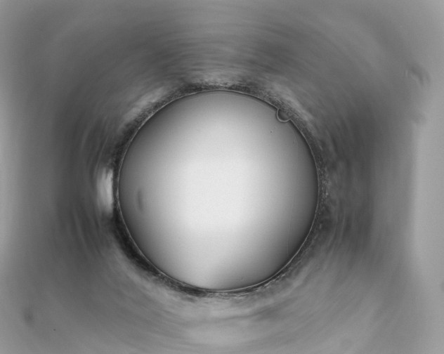 X0000111850020200907301120