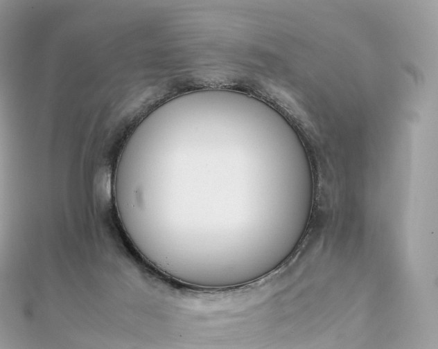 X0000111850021200907301120