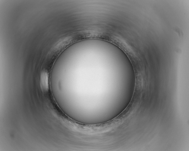 X0000111850022200907301120