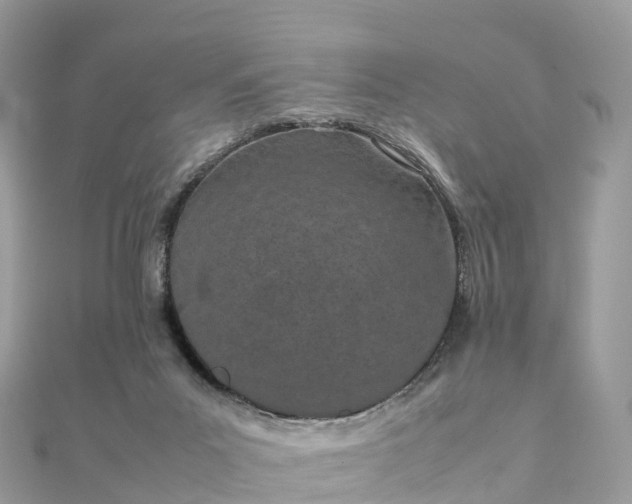 X0000111850023200907301120