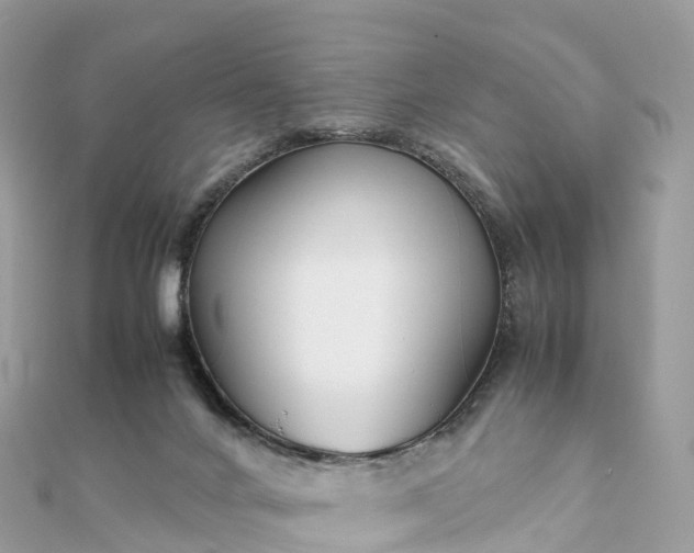 X0000111850024200907301120