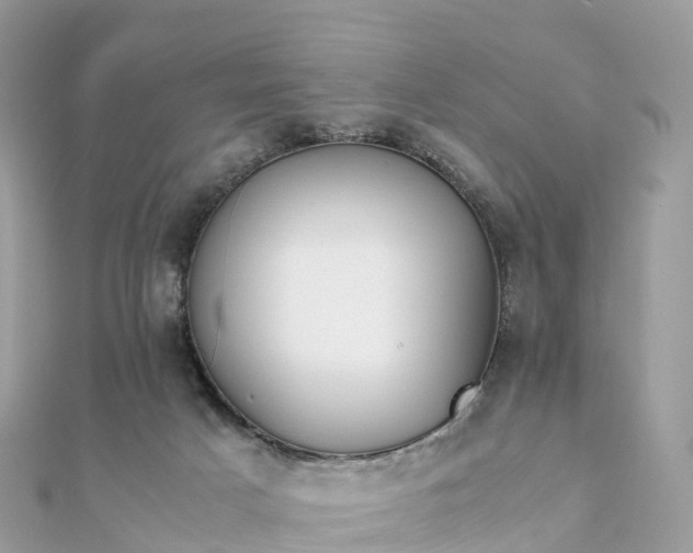 X0000111850025200907301120