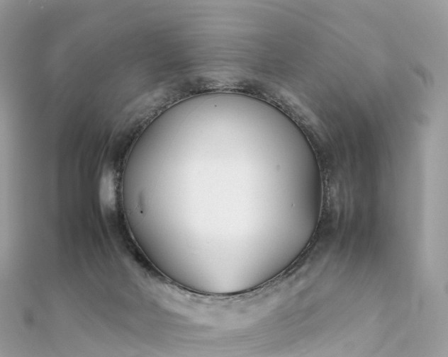 X0000111850026200907301120