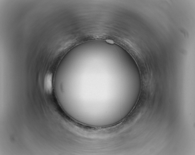 X0000111850028200907301120