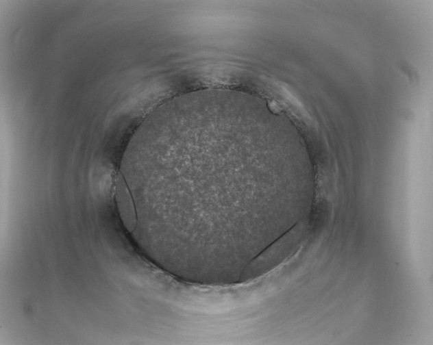 X0000111850029200907301120