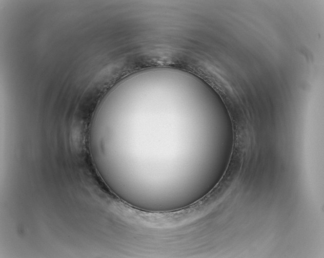 X0000111850030200907301120