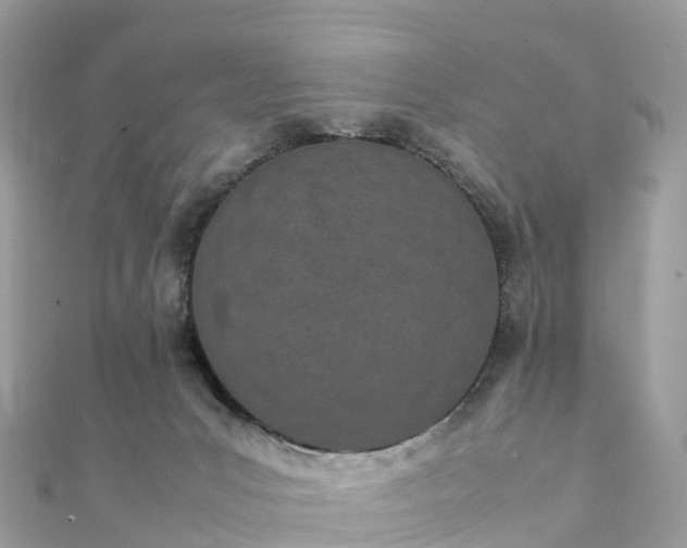 X0000111850031200907301120