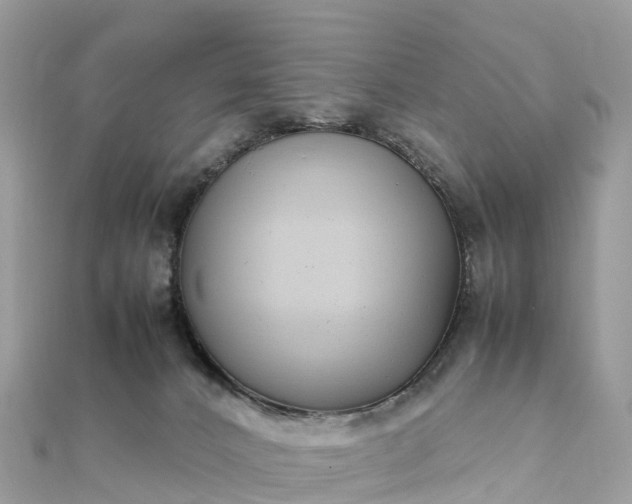 X0000111850032200907301120