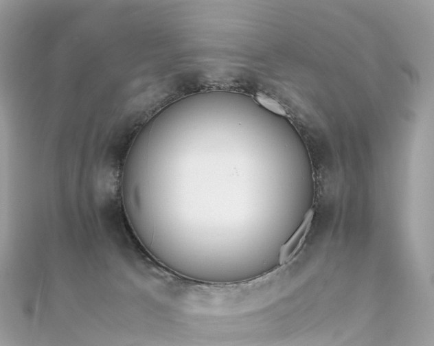 X0000111850033200907301120