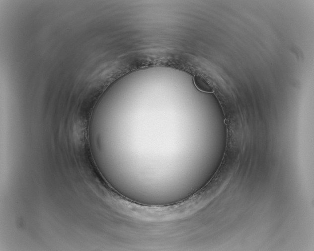 X0000111850034200907301120