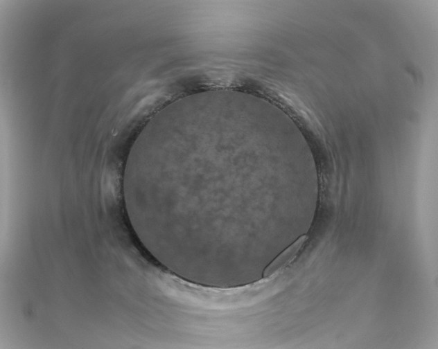 X0000111850035200907301120