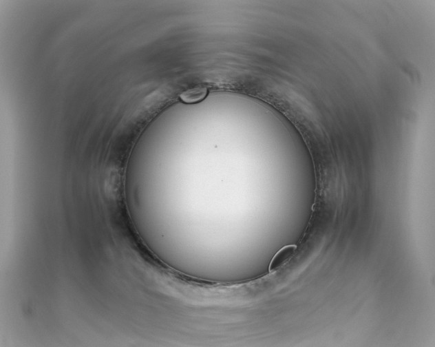 X0000111850036200907301120