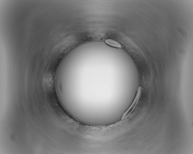 X0000111850037200907301120