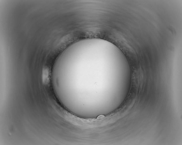 X0000111850038200907301120