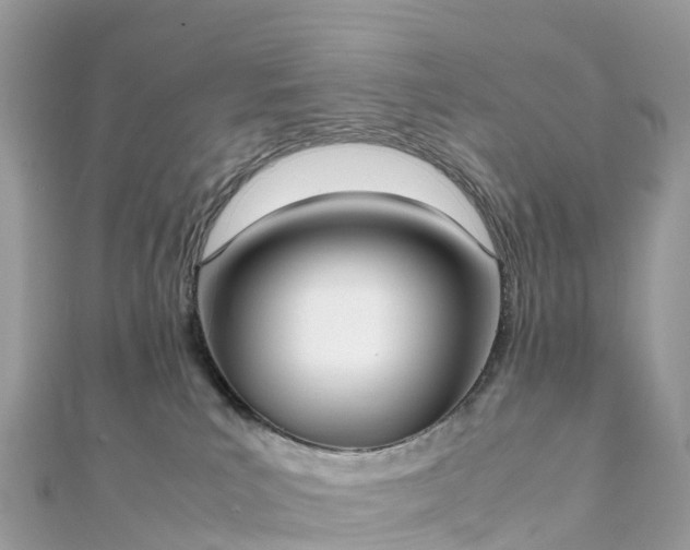 X0000111850039200907301120