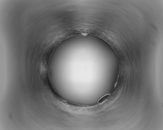 X0000111850040200907301120