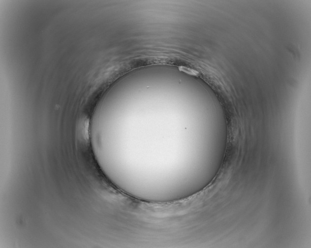 X0000111850041200907301120