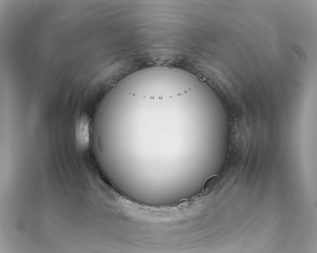 X0000111850042200907301120