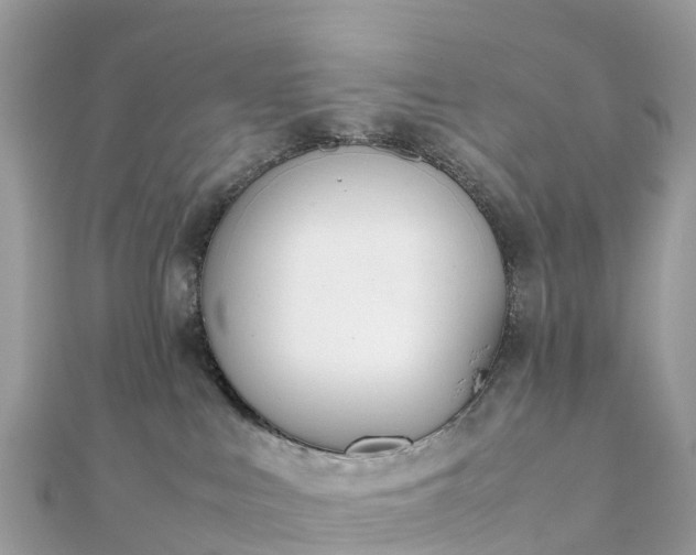 X0000111850043200907301120