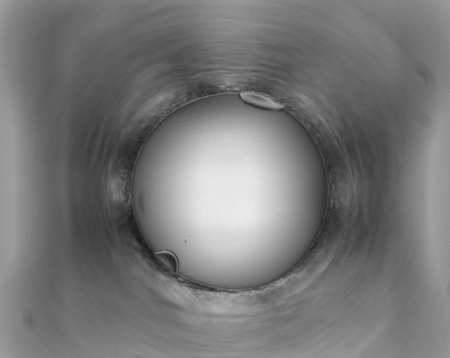 X0000111850044200907301120