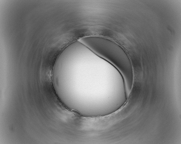 X0000111850045200907301120