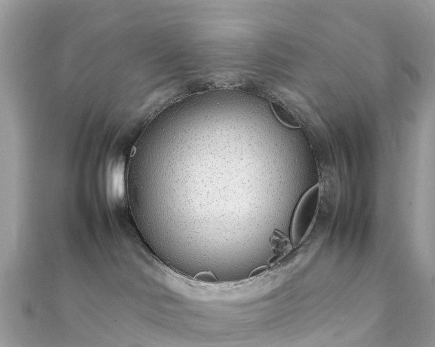 X0000111850046200907301120