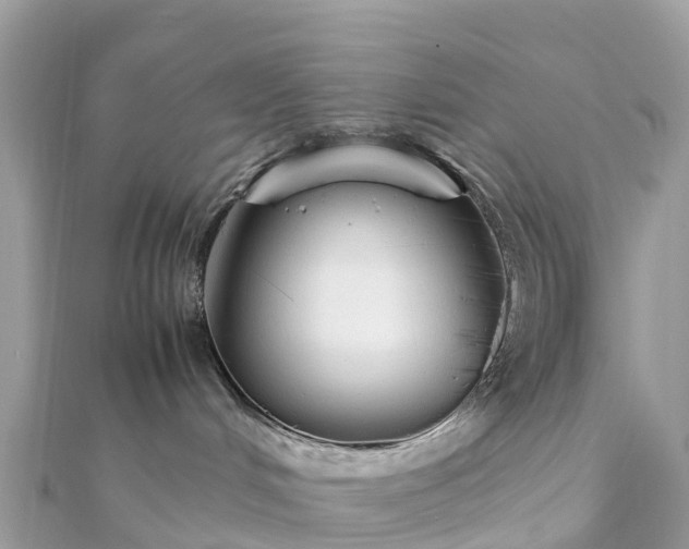 X0000111850048200907301120